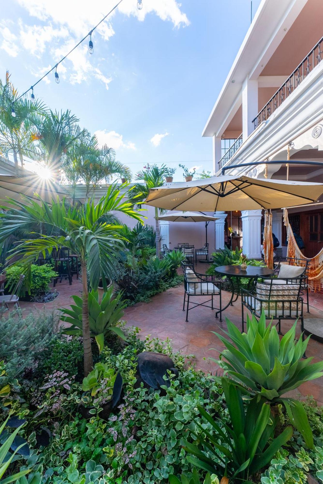 Ojala Auberge de jeunesse Antigua